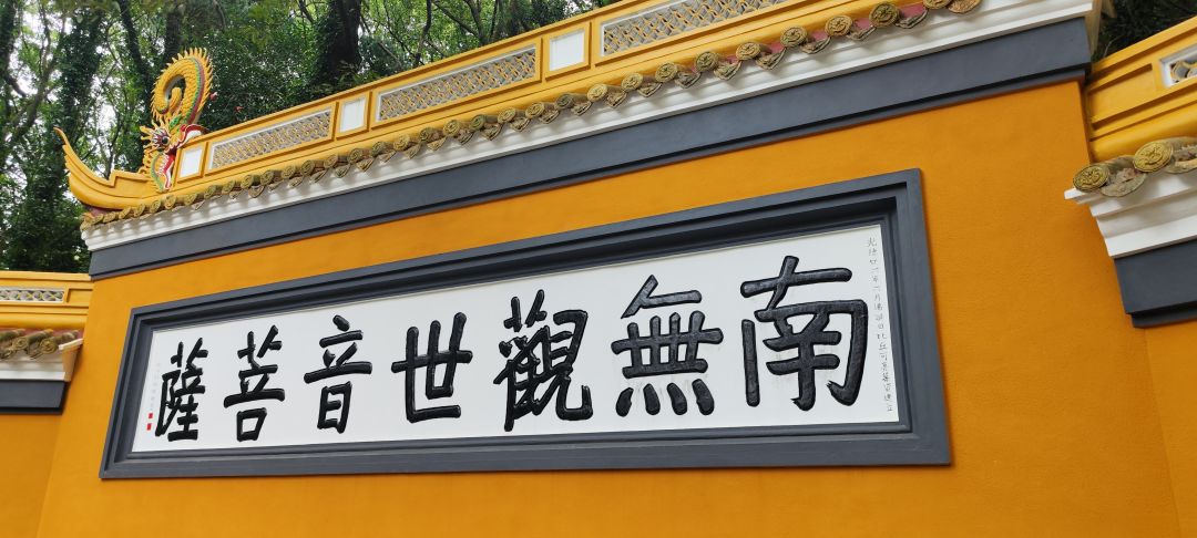 动态图片 17