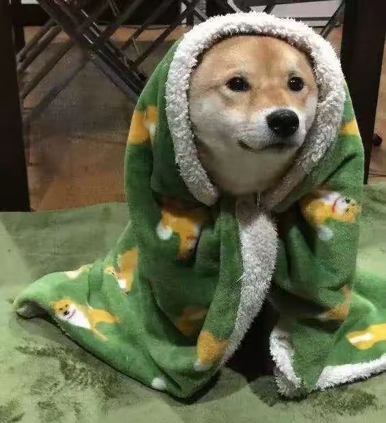 再怎么剩钻石都不够 2
