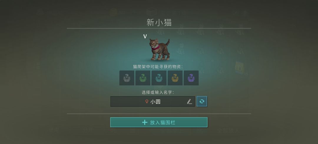 牢开的恩情还不完,原来实验室真有5级猫 1