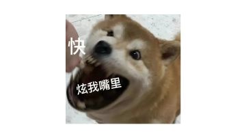 小技巧，小技巧，一天不学受不了