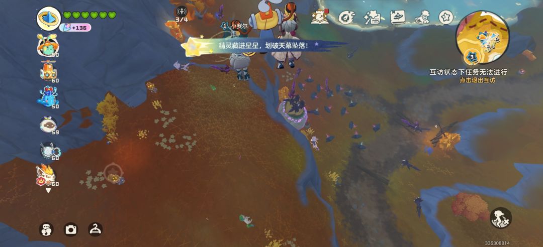 一个下午,160个可可果球 6