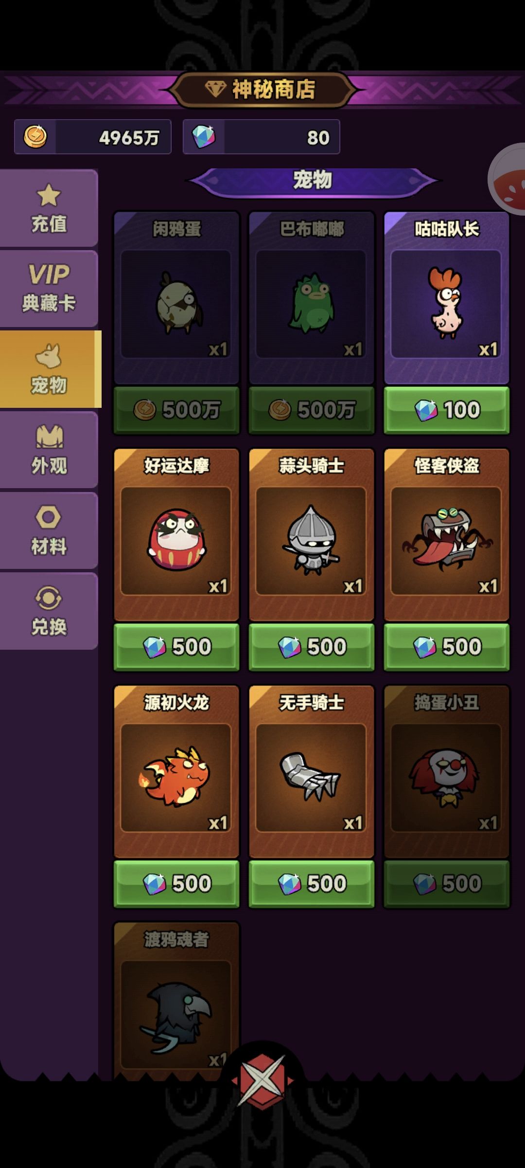 关于宠物 1