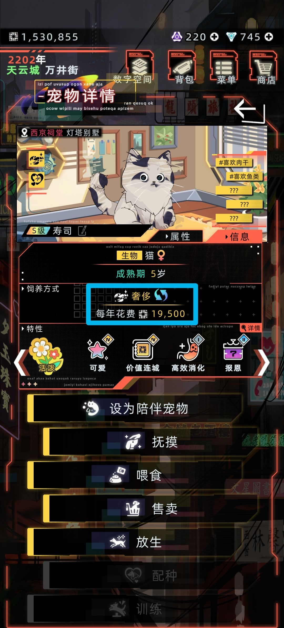 新的赚钱方法(养猫)，可和工作同时进行 3