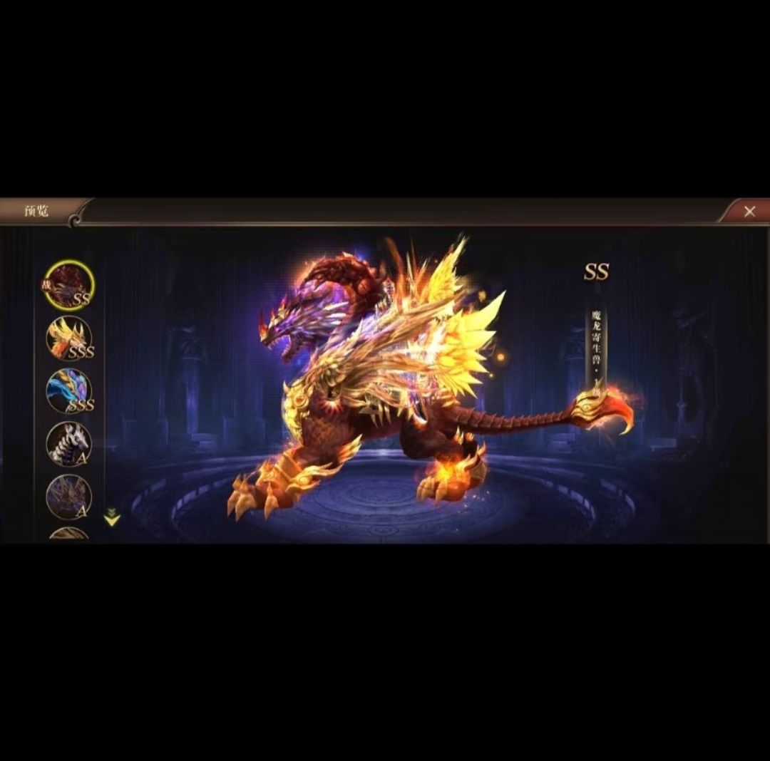 可以角色职业龙魂武神 3