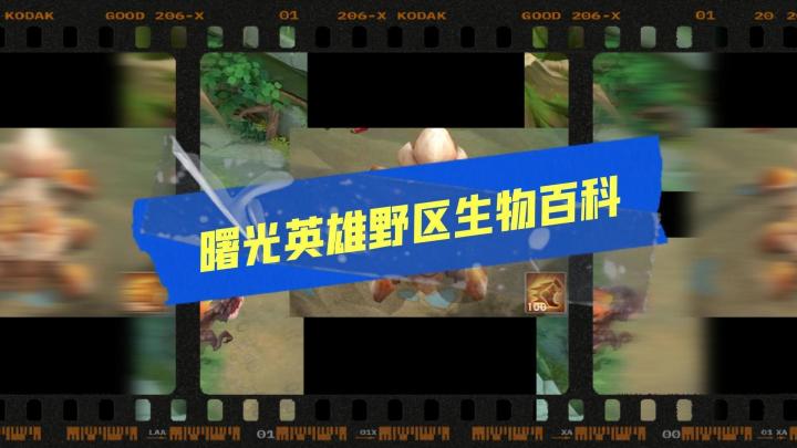 小曙来了 | 萌新如何制霸野区之小型野怪截图