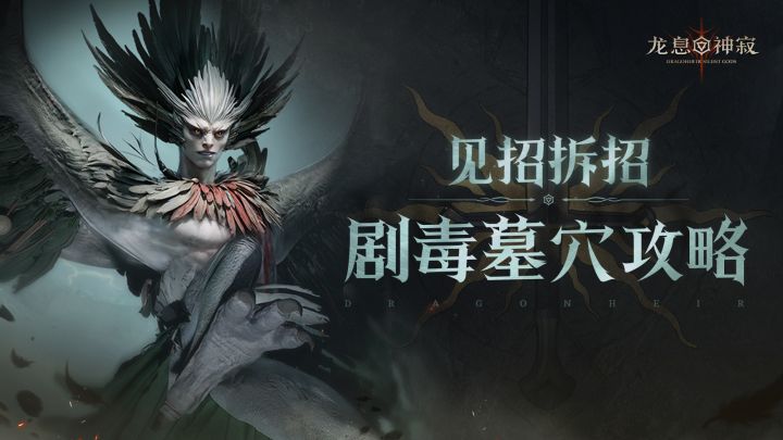 剧毒墓穴攻略|死亡妖鸟逐招分析截图