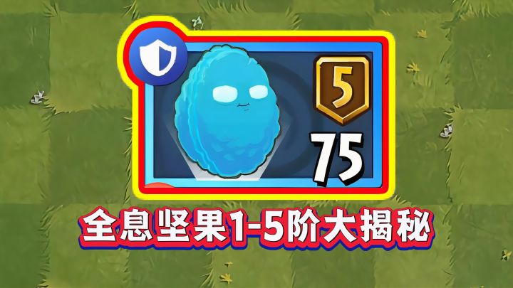 全息坚果1-5阶实测!看完后,你还敢入手吗?截图