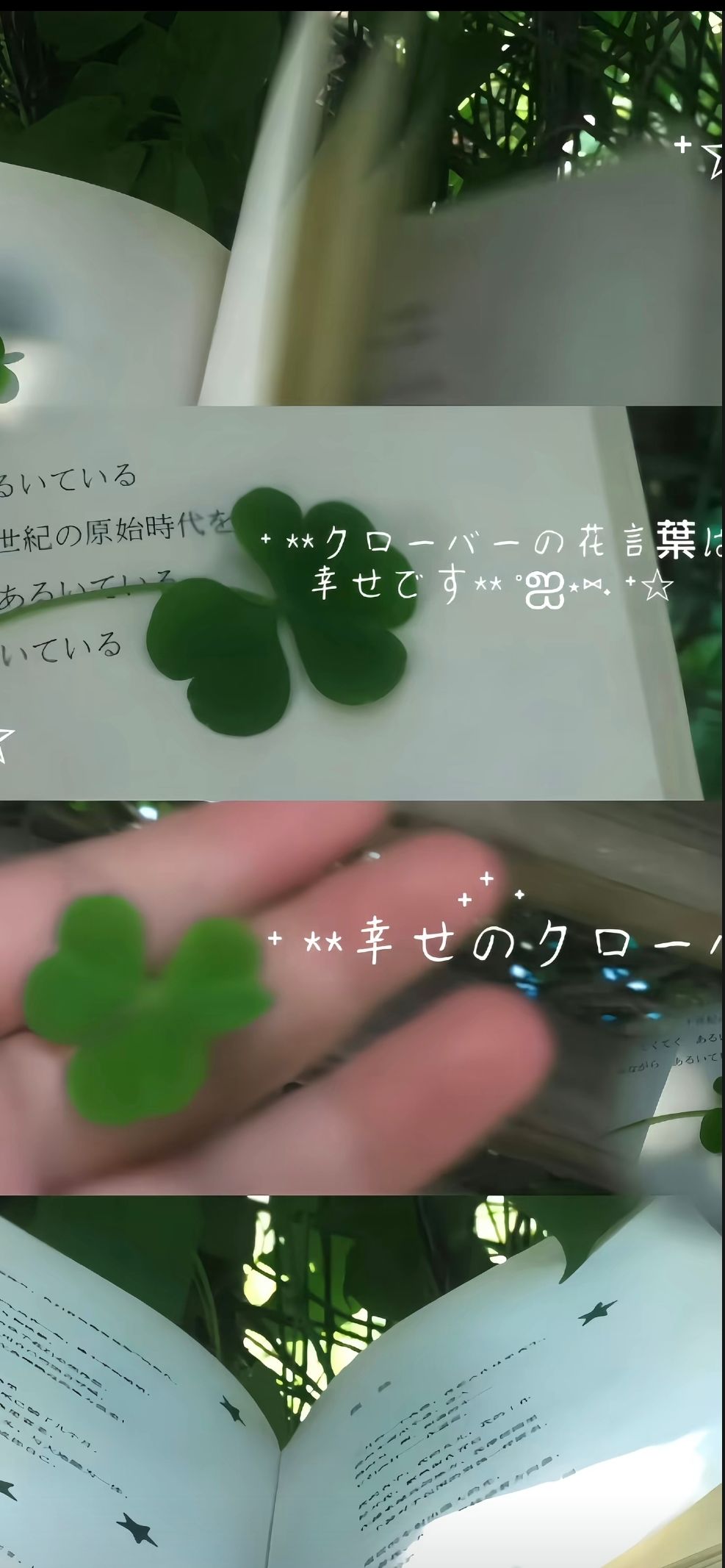 今日份壁纸——绿色💚系壁纸(4️⃣) 9