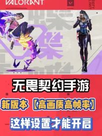 新版本一定要这样设置，才能开启【高画质高帧率】