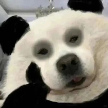 【新区公告】费伦-潮汐之舞（安卓IOS混服）来袭！