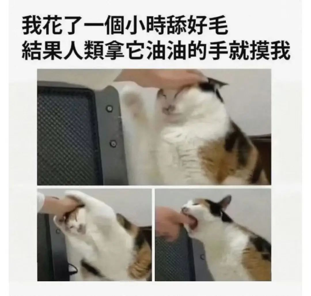 周车,副塔已拔 2