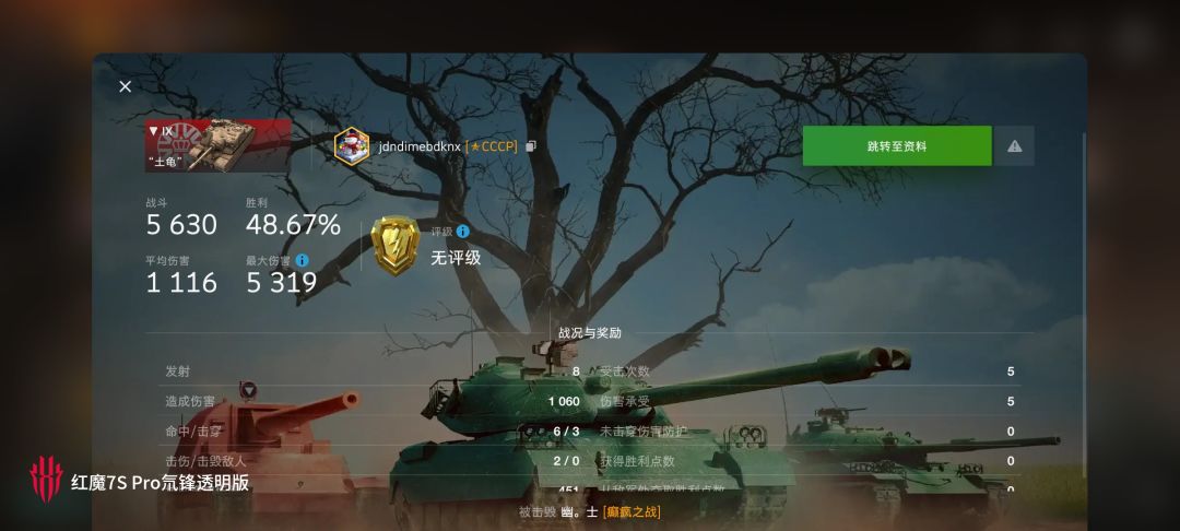 动态图片 11
