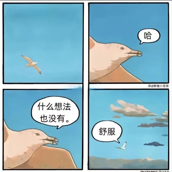 现版本烛光是效果命中流好还是暴击流好? 1