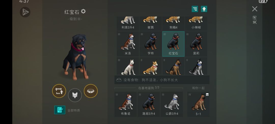 狗子 2