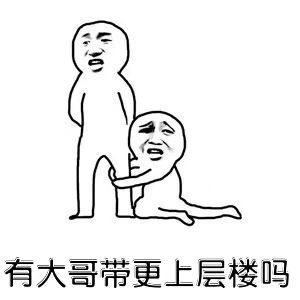哪里有带连星的大佬啊 2