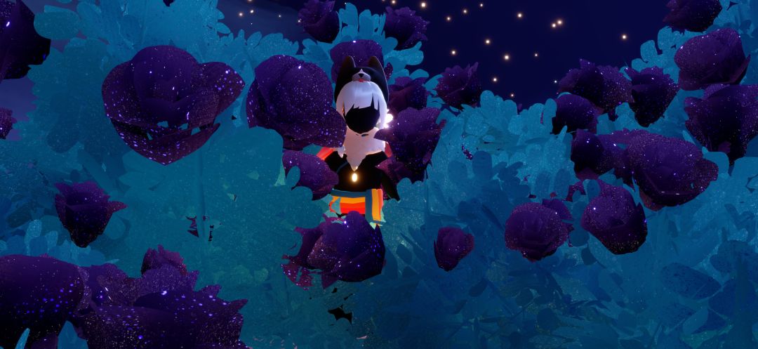 带崽崽看花花~ 7