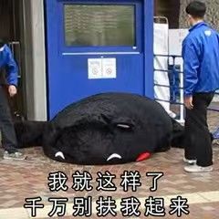 是那个逃学被开除的维尔汀? 1