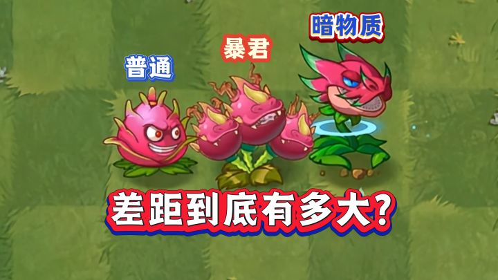 同样是火龙果,三者差距究竟有多夸张?截图