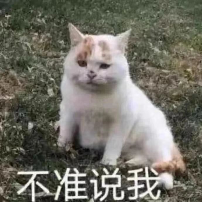 关于第15期签到中第三天的奖励 2