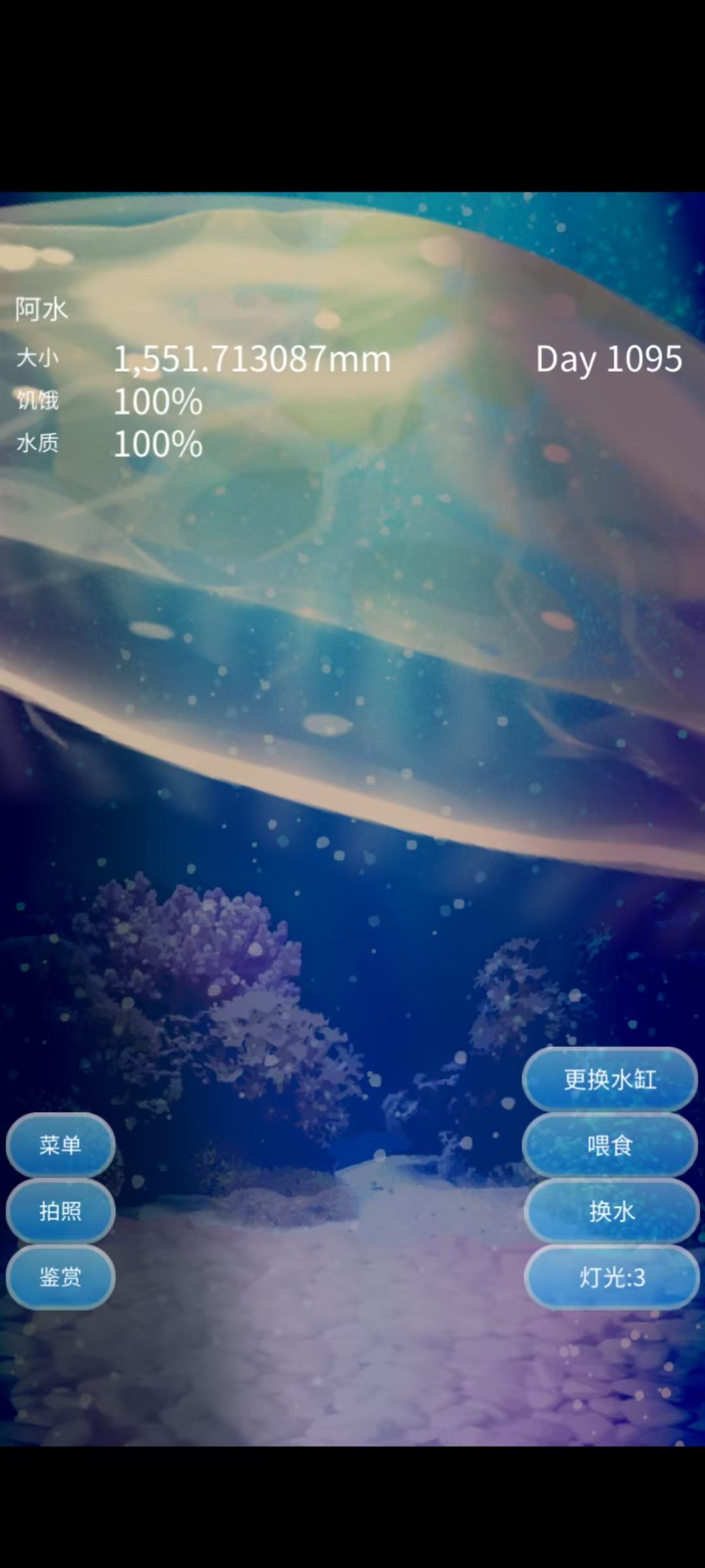 今天是它的三岁生日 3