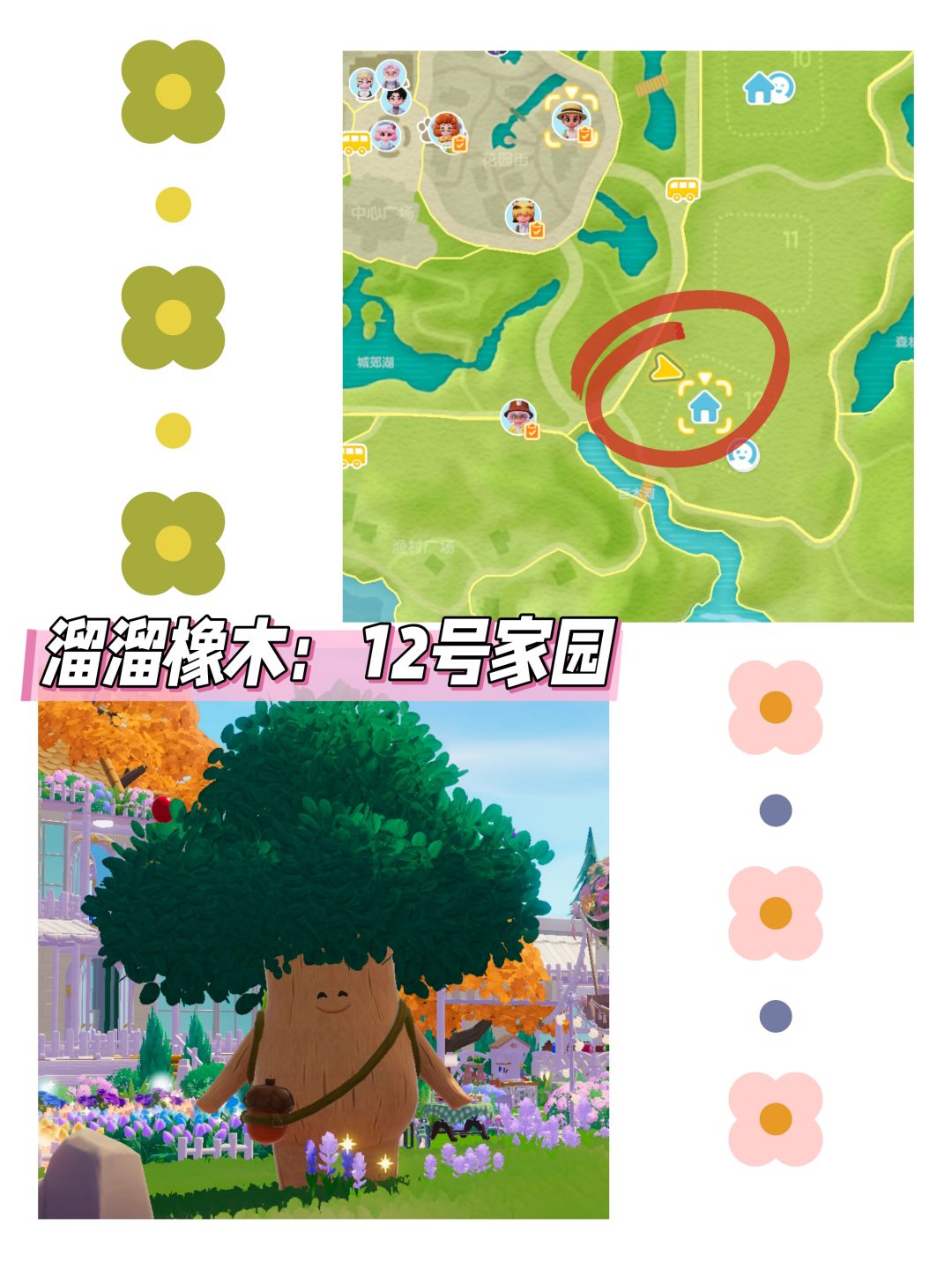 心动小镇日报(11.30)溜溜橡木+无暇萤石 3