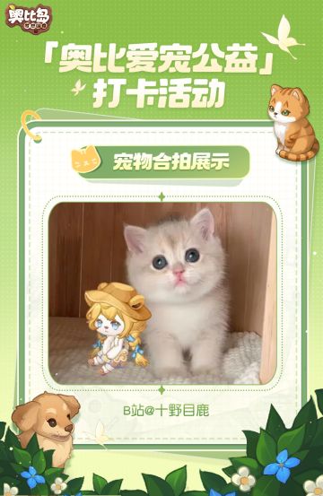 奥比爱宠公益打卡活动丨可爱萌宠合拍分享
