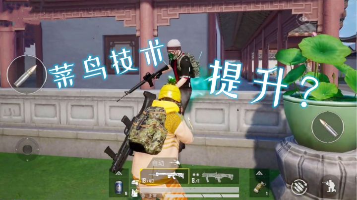 和平精英菜鸟成长记,菜鸟技术有提升?截图