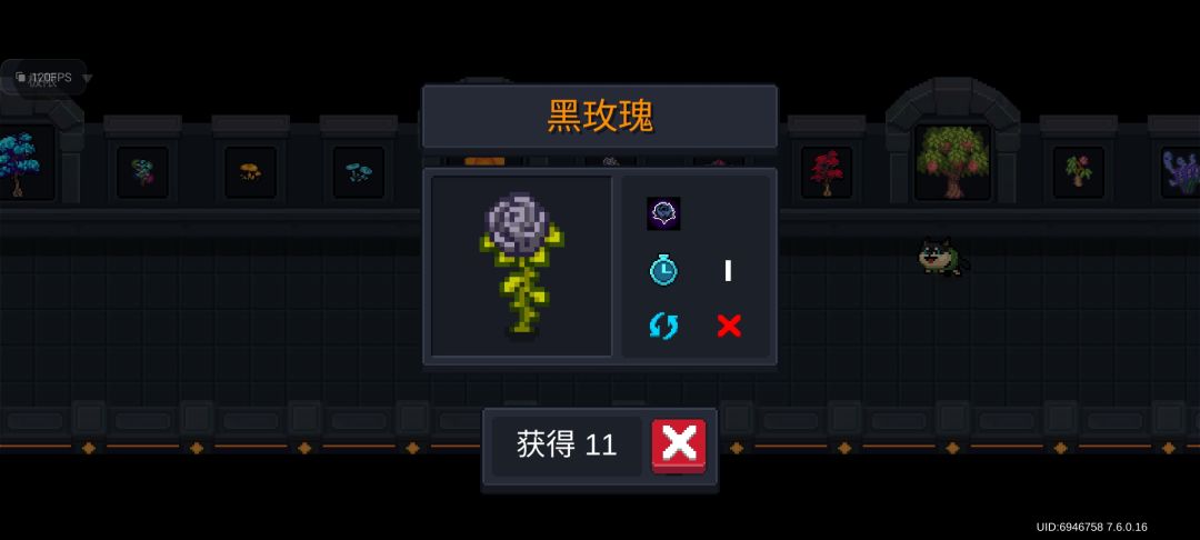 地窖里怎么会同时存在两个黑玫瑰 2