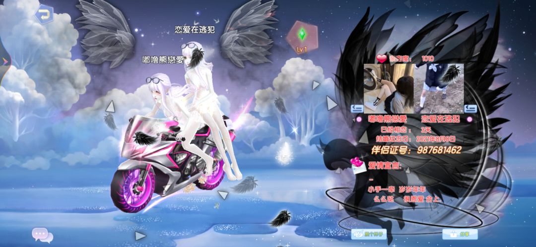 动态图片 3