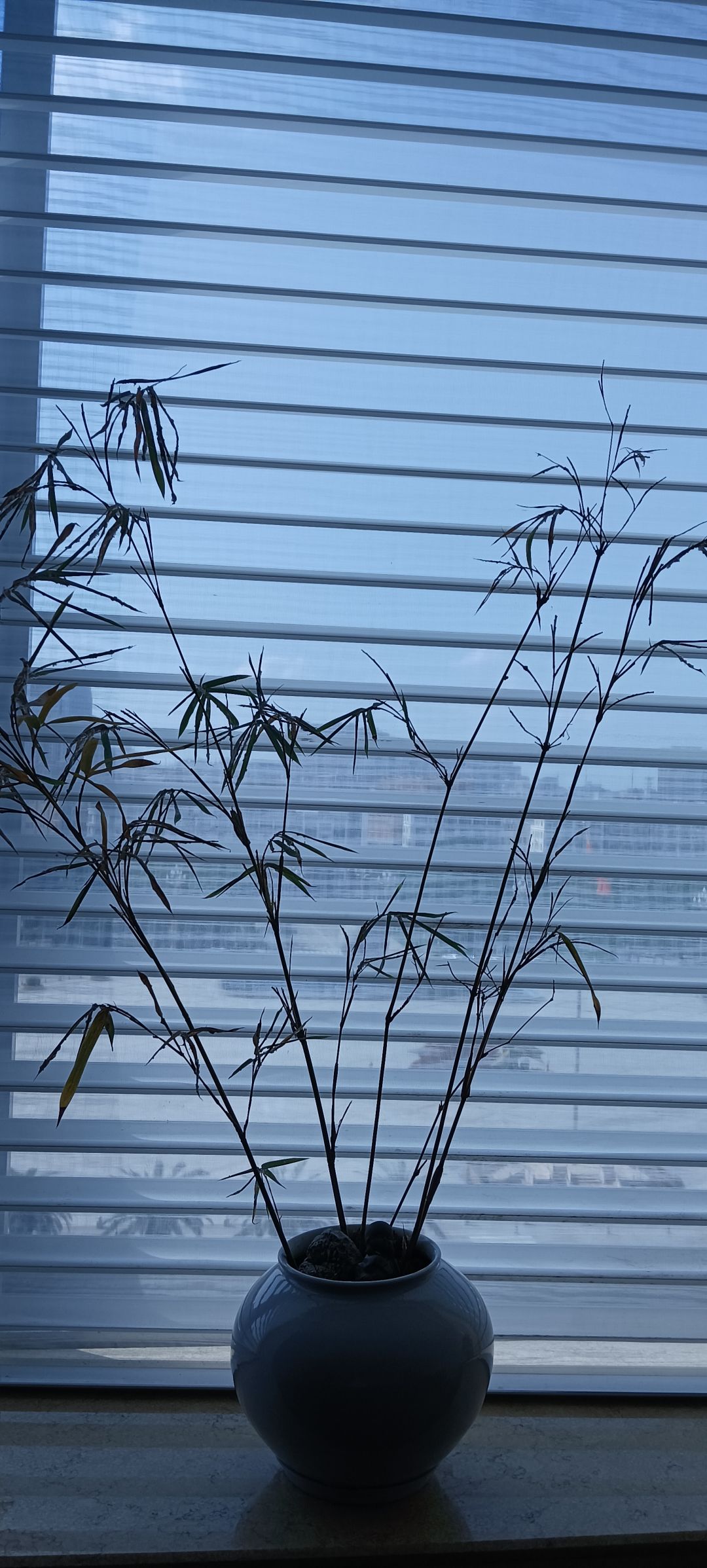 新手必看截图