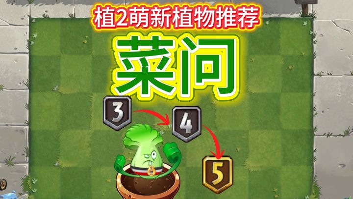 植2新手植物推荐:菜问(含获取养成方法)截图