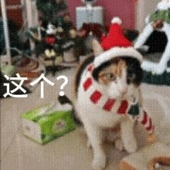 跨服不氪金低保都快拿不到了截图