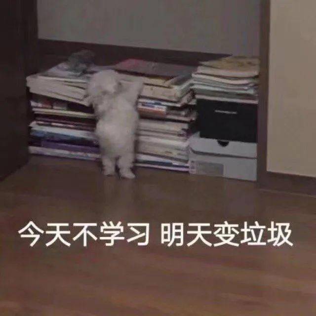 V区蹲队友截图