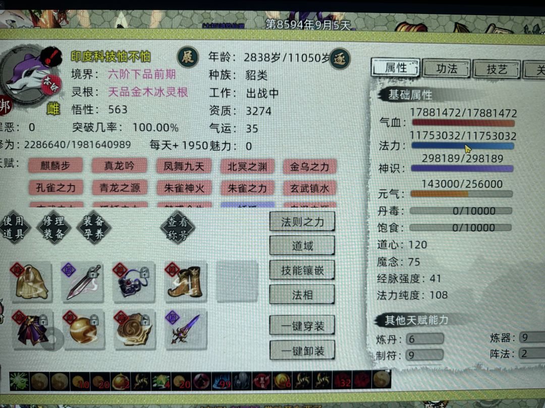 全大区第一只练虚宠物有奖励不 1