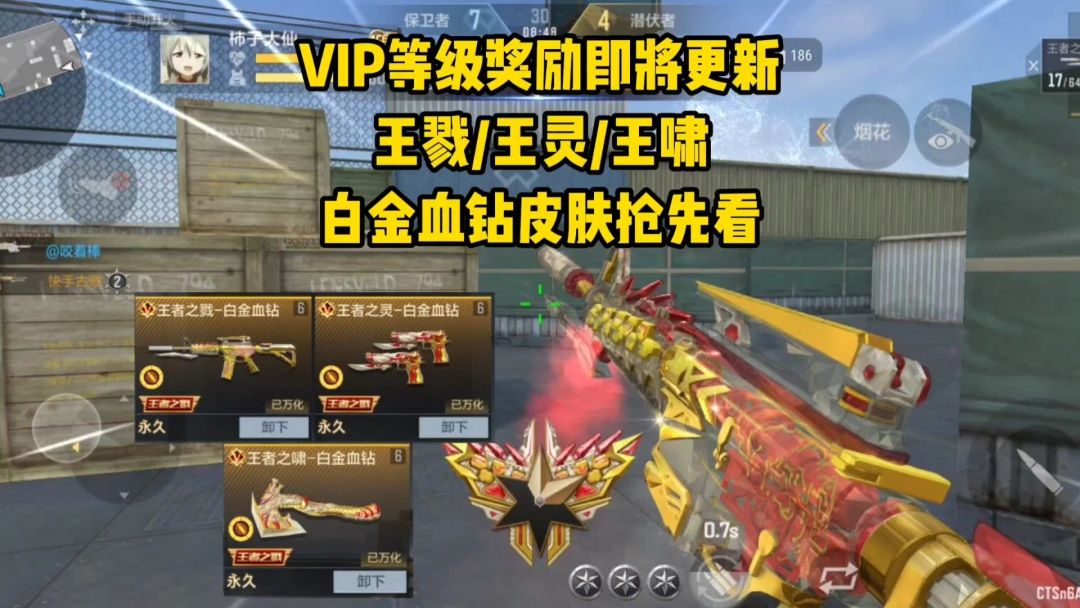 video-5352511