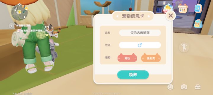 为啥每次都在领养猫猫这里卡死!截图