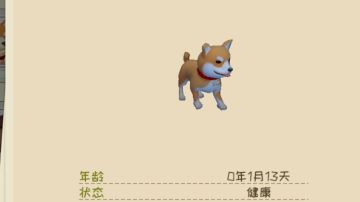 给萌新的一些建议