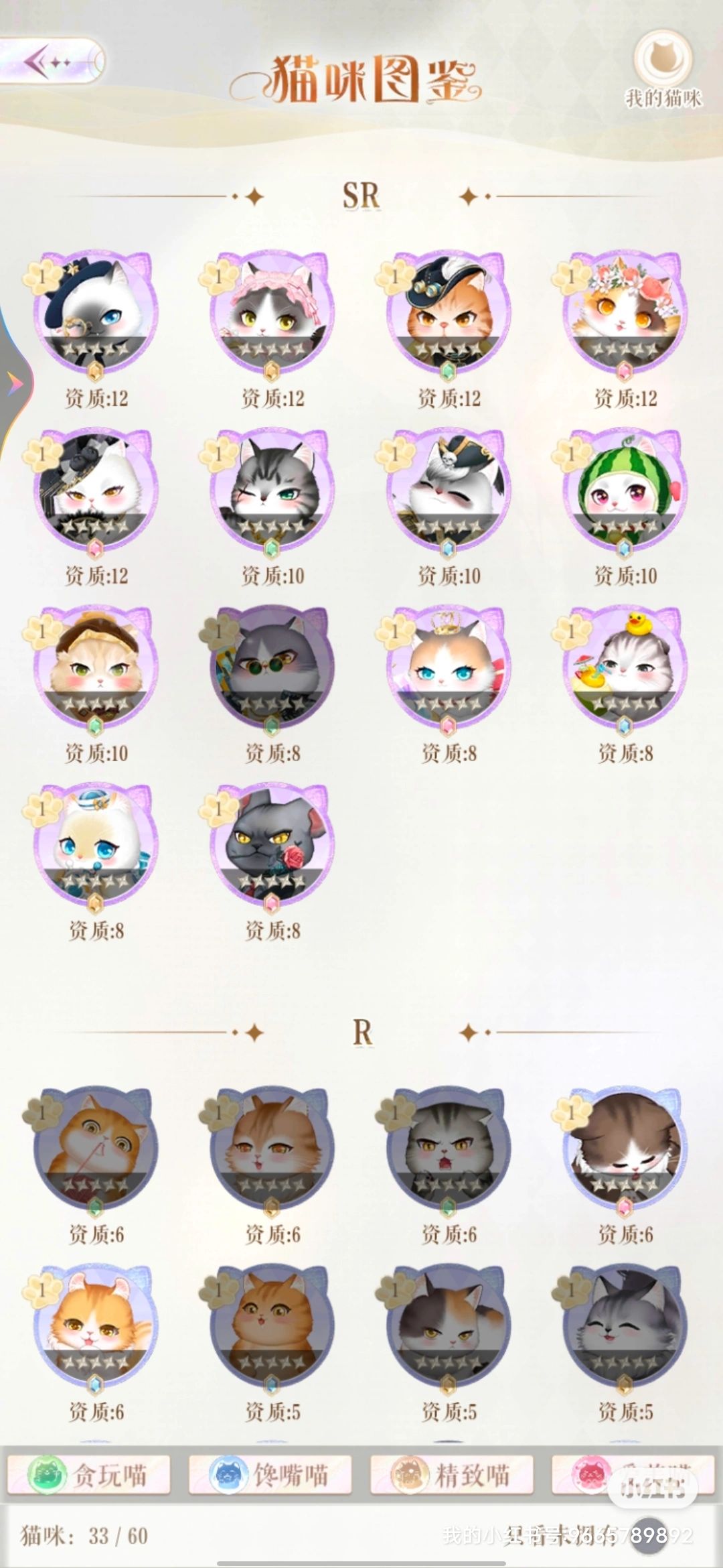 甜甜的你猫咪培养攻略 2