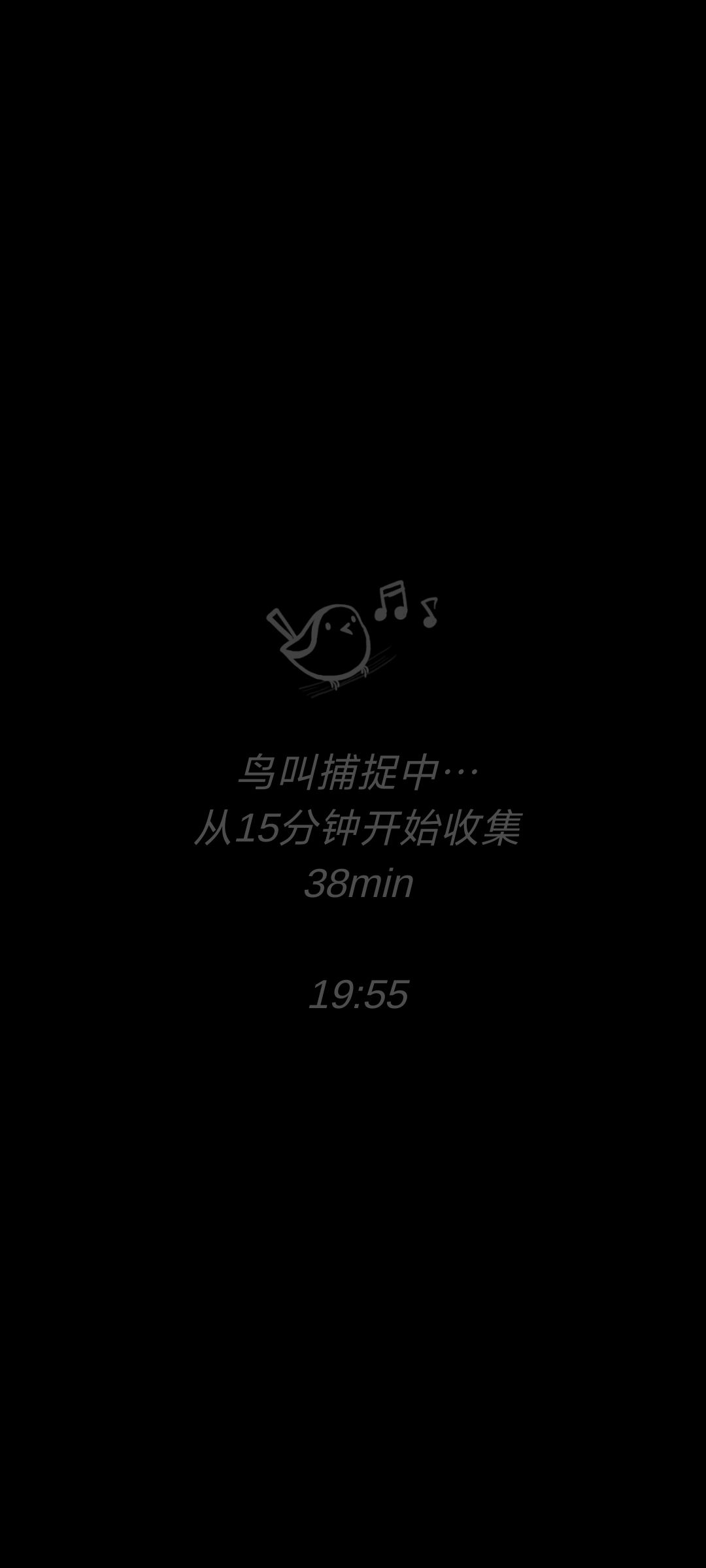晚霞+第二颗树+2700鸟鸣☺️ 2