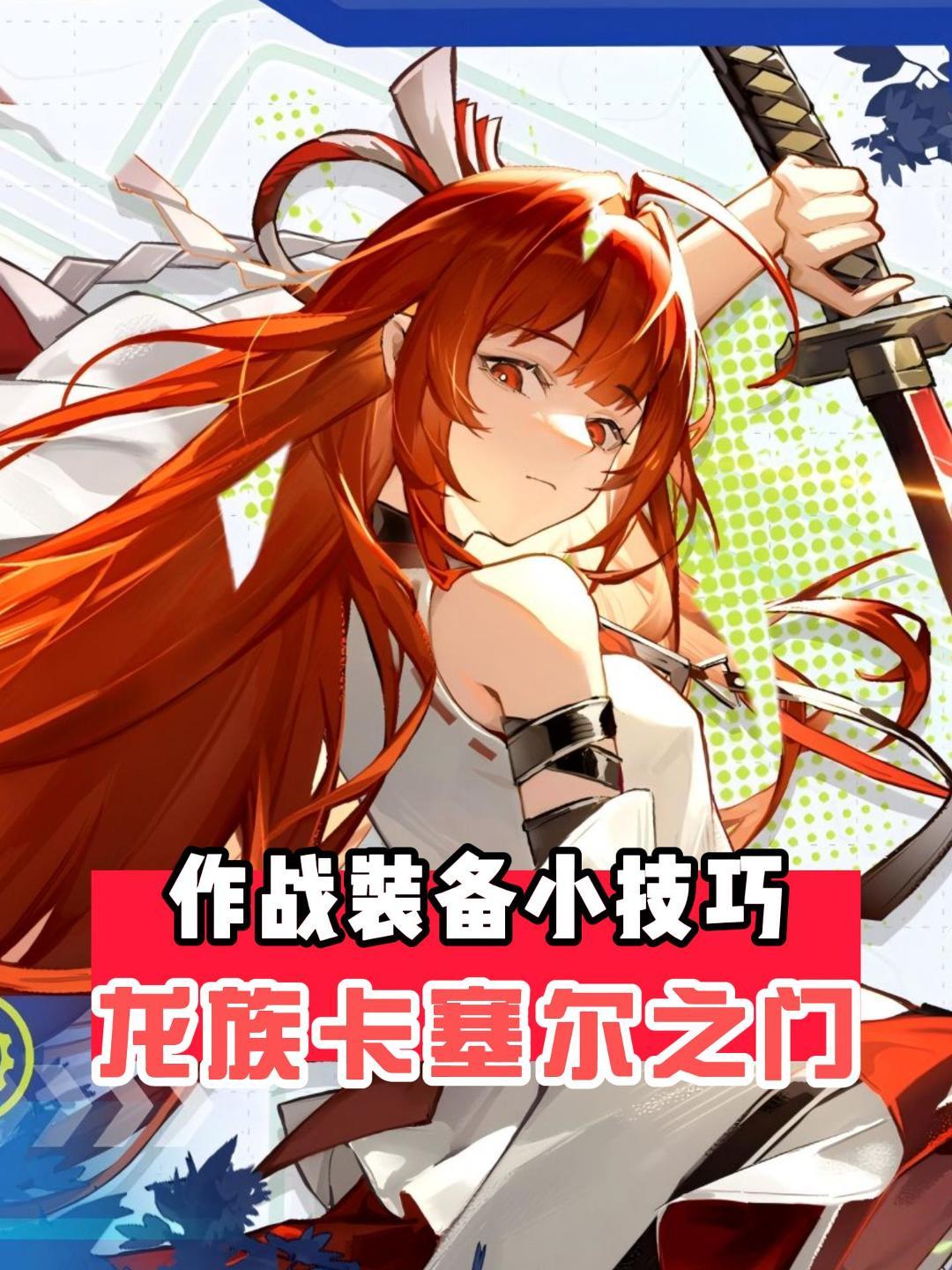 以防你不知道的龙卡小知识 作战装备篇截图