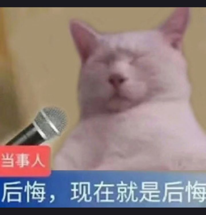 别抢高危载具去送行吗截图