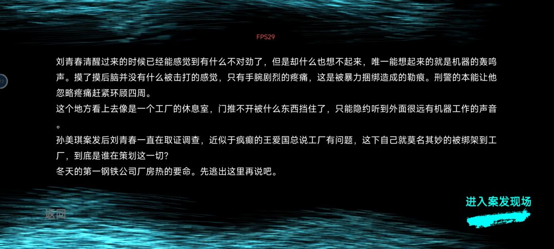 《孙美琪疑案.王爱国》 2