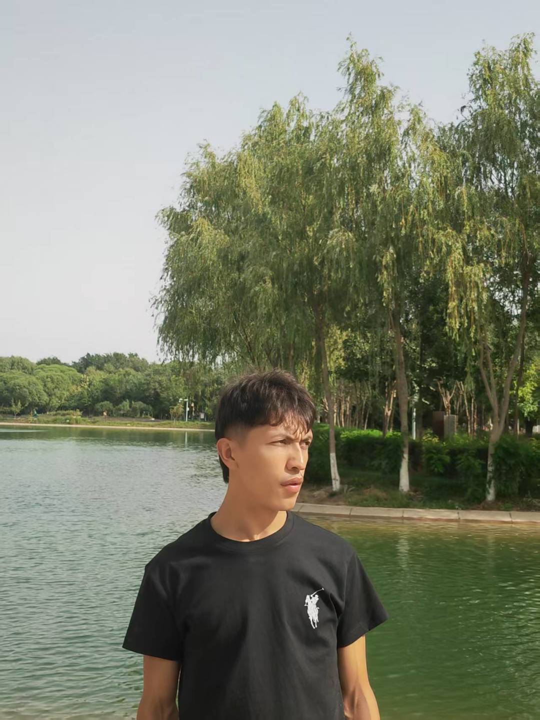 动态图片 6