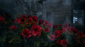 雨天看风景，差点遭雷劈！