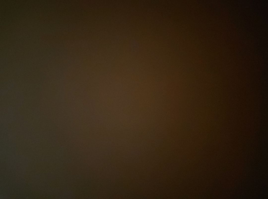 不花钱想玩的看 1
