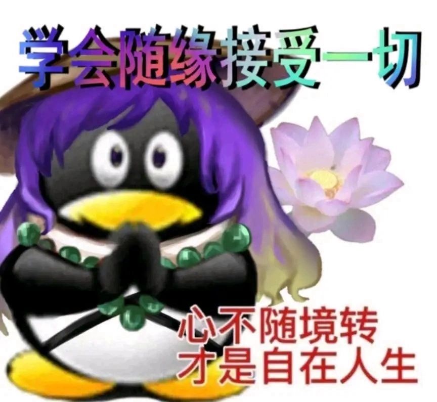 被第6-44击败了，来个佬借个狼夫 2