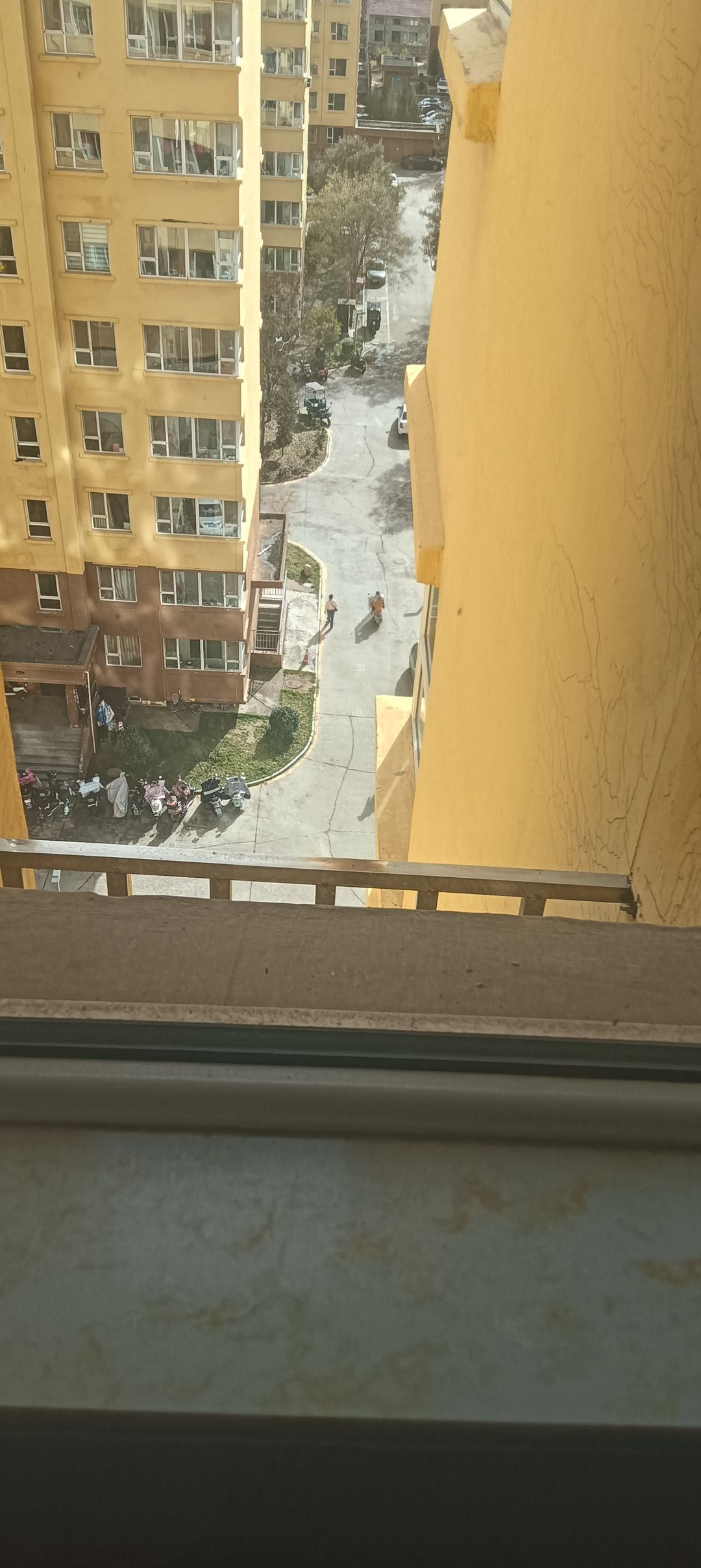 动态图片 11