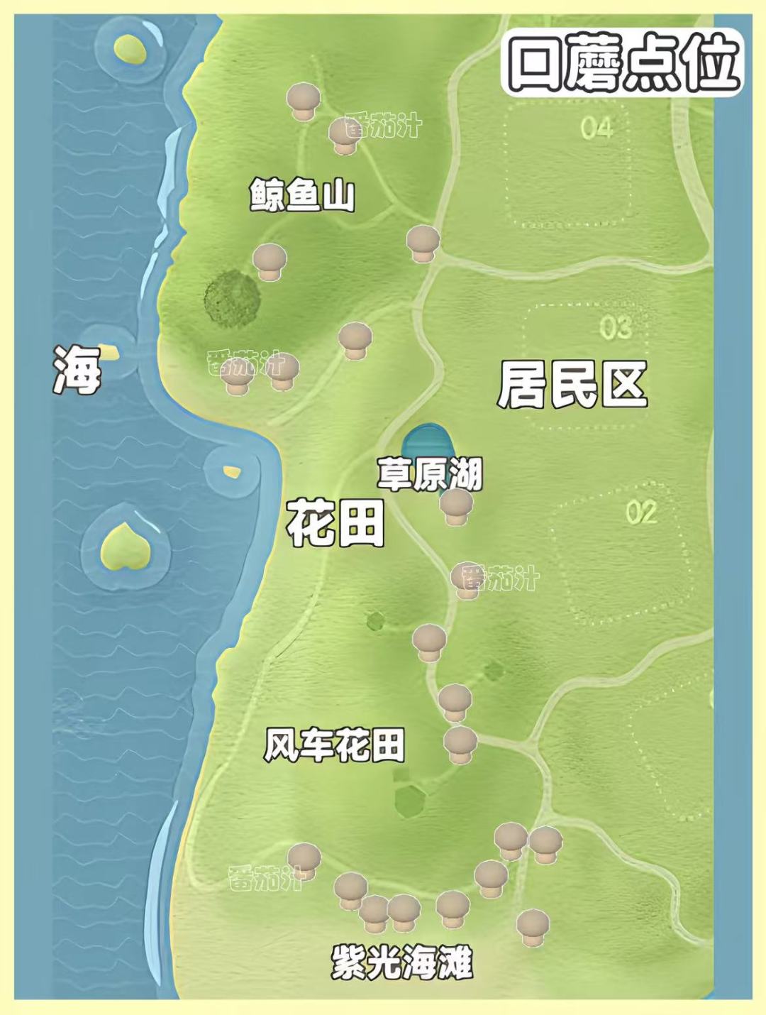 你们都采蘑菇了嘛 3
