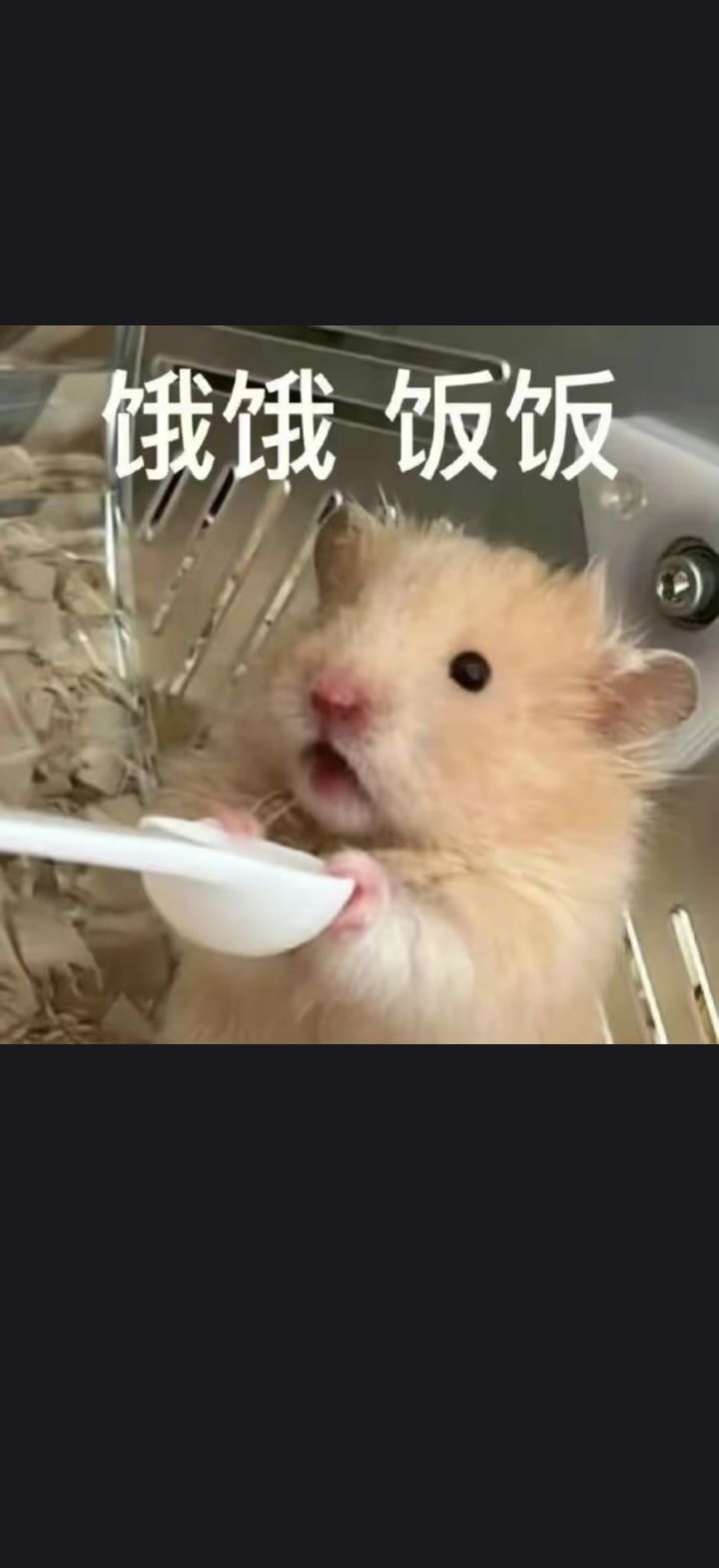 这两个平民队伍哪个比较好?截图