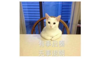 万能答疑报bug搞事帖